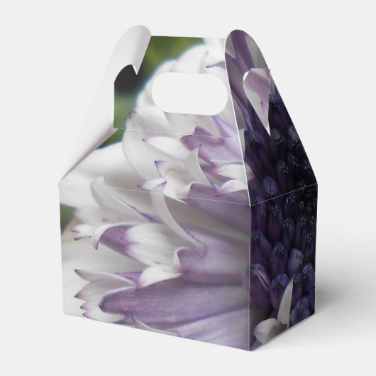 Ballotins Brett (Arrière)