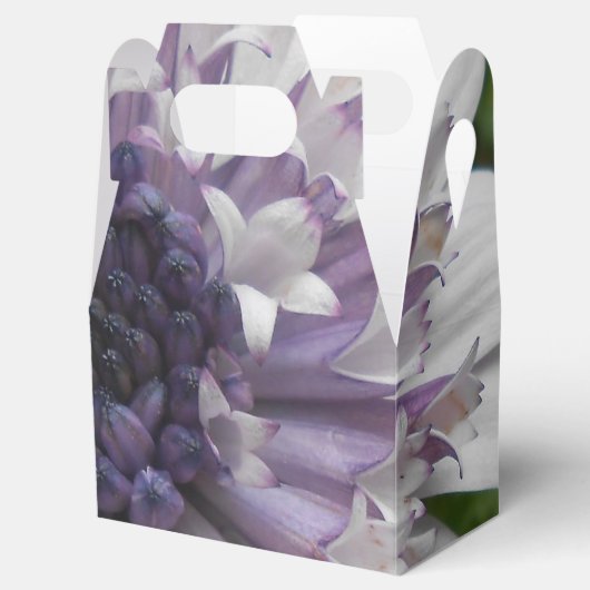 Ballotins Brett (Ouvert)