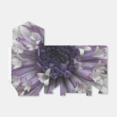 Ballotins Brett (Déplié)