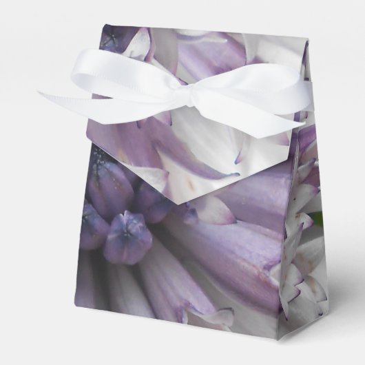 Ballotins Brett (Verso)