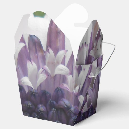 Ballotins Brett (Ouvert)