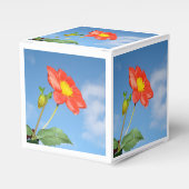 Ballotins Bright Red Strawberry Blossom Flower (Verso)