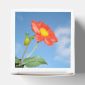 Ballotins Bright Red Strawberry Blossom Flower (Haut)