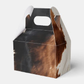 Ballotins Brown Crème Noir Vache du Sud-Ouest (Arrière)