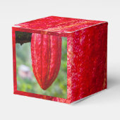Ballotins cabosse rouge (Verso)