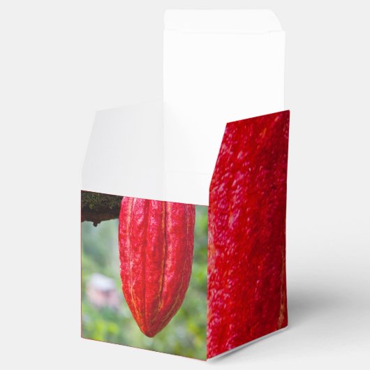 Ballotins cabosse rouge (Ouvert)