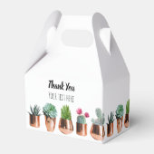 Ballotins Cactus et succulents dans des pots d'or Roses (Arrière)