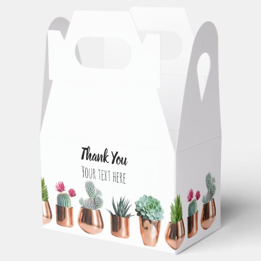 Ballotins Cactus et succulents dans des pots d'or Roses (Ouvert)