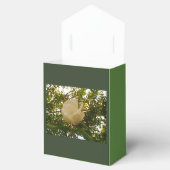 Ballotins Cadeau au ruban blanc Rose (Ouvert)