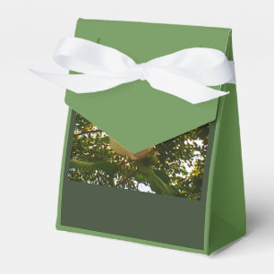 Ballotins Cadeau au ruban blanc Rose