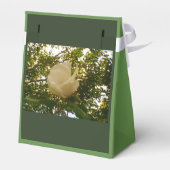 Ballotins Cadeau au ruban blanc Rose (Arrière)
