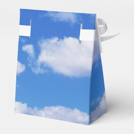 Ballotins Cadeau de diplôme (Arrière)