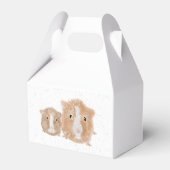 Ballotins Cage de cadeau pour cochon d'Inde (Arrière)