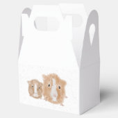 Ballotins Cage de cadeau pour cochon d'Inde (Ouvert)