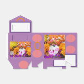 Ballotins Calaberita noire (Déplié)