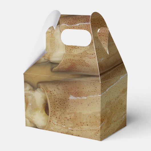 Ballotins Calamari (Verso)