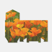 Ballotins California poppy impastèque (Déplié)