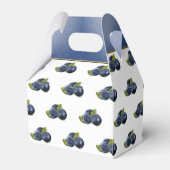 Ballotins Canne aux fruits bleuets (Arrière)