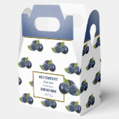 Ballotins Canne aux fruits bleuets (Ouvert)