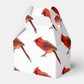 Ballotins Cardinal(s) (Arrière)