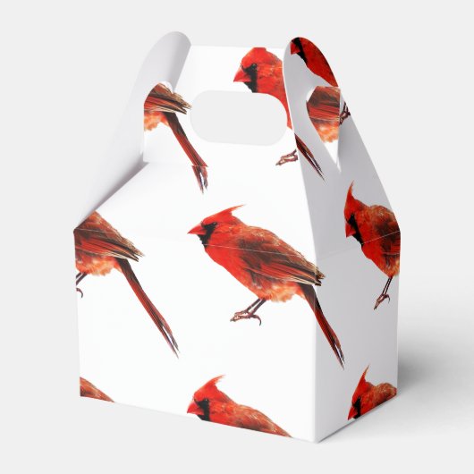 Ballotins Cardinal(s) (Arrière)