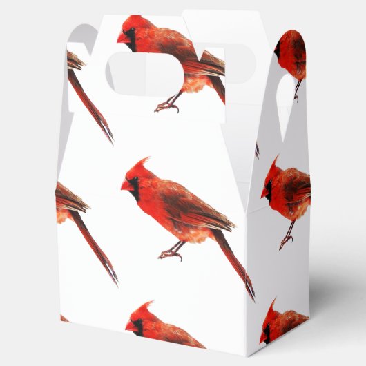 Ballotins Cardinal(s) (Ouvert)