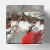 Ballotins cardinaux hommes et femmes (Haut)