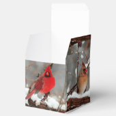 Ballotins cardinaux hommes et femmes (Ouvert)