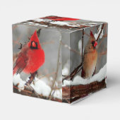 Ballotins cardinaux hommes et femmes (Arrière)