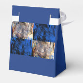 Ballotins carnivest (Arrière)