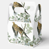 Ballotins Carolina Pigeon Audubon Morning Dove (Ouvert)