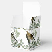 Ballotins Carolina Pigeon Audubon Morning Dove (Ouvert)