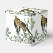 Ballotins Carolina Pigeon Audubon Morning Dove (Arrière)