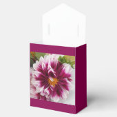 Ballotins Cartheuserine (Ouvert)