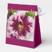 Ballotins Cartheuserine (Arrière)