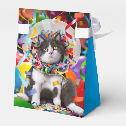 Ballotins Cat dans le cône de partie (Arrière)