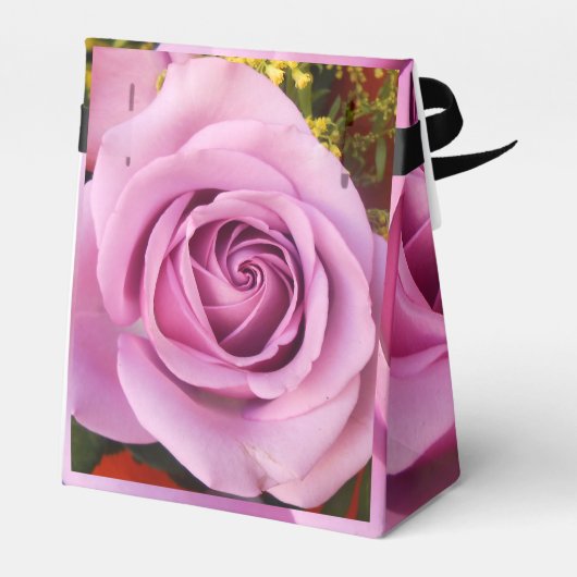 Ballotins Catejne (Arrière)