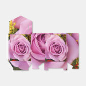 Ballotins Catejne (Déplié)