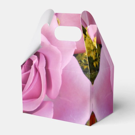 Ballotins Catejne (Arrière)