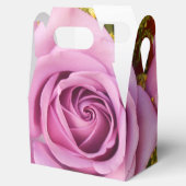 Ballotins Catejne (Ouvert)