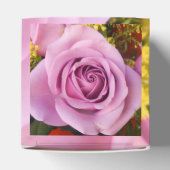 Ballotins Catejne (Haut)