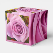 Ballotins Catejne (Arrière)