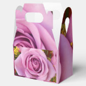 Ballotins Catejne (Ouvert)