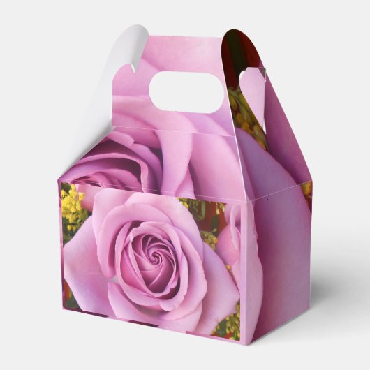 Ballotins Catejne (Verso)