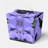 Ballotins Cé sarine (Arrière)