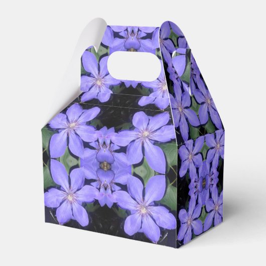 Ballotins Cé sarine (Verso)