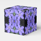 Ballotins Cé sarine (Verso)