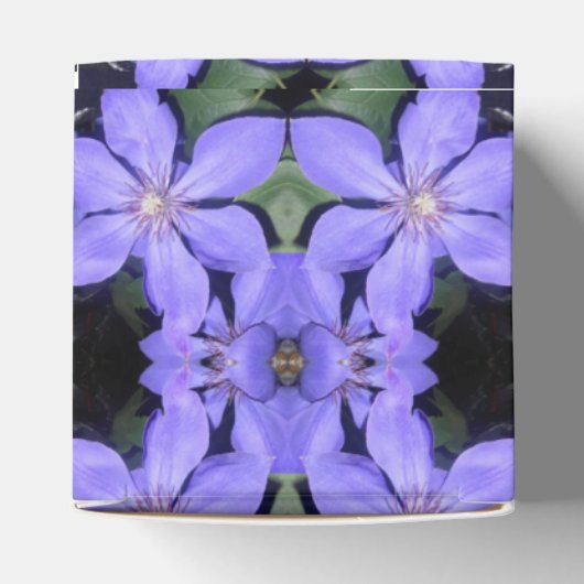 Ballotins Cé sarine (Haut)