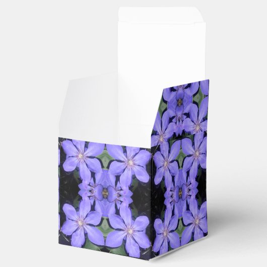 Ballotins Cé sarine (Ouvert)