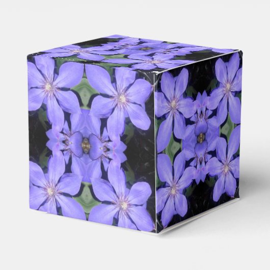 Ballotins Cé sarine (Arrière)